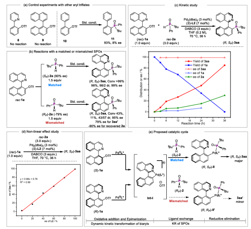 上海交大刘家旺团队通过同步动态动力学不对称转化与动力学拆分的钯催化碳膦偶联反应合成轴膦双手性三级膦氧化合物