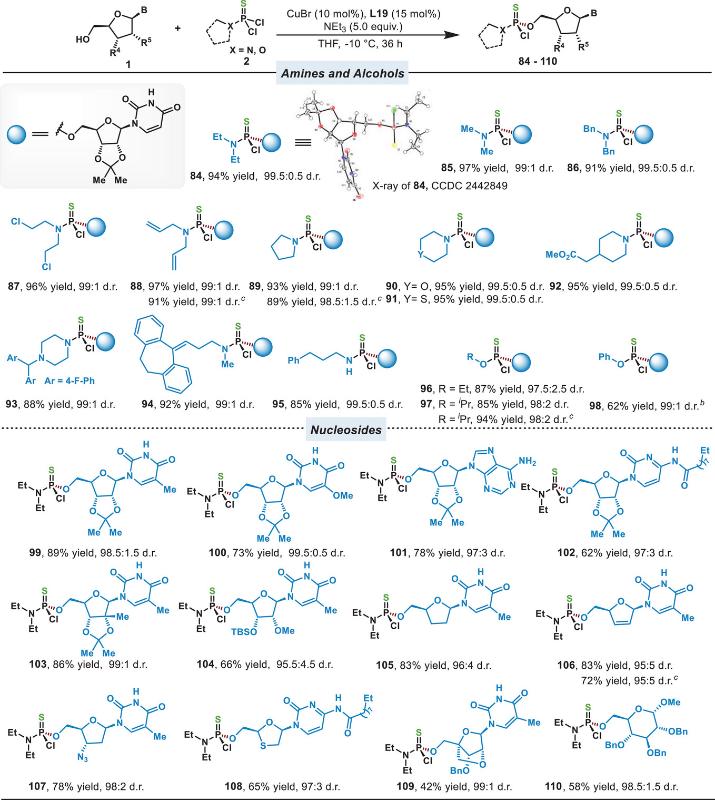 上海交大商明团队通过铜催化的（硫代）磷酸二氯化物去对称化反应实现磷(V)手性化合物的模块化合成