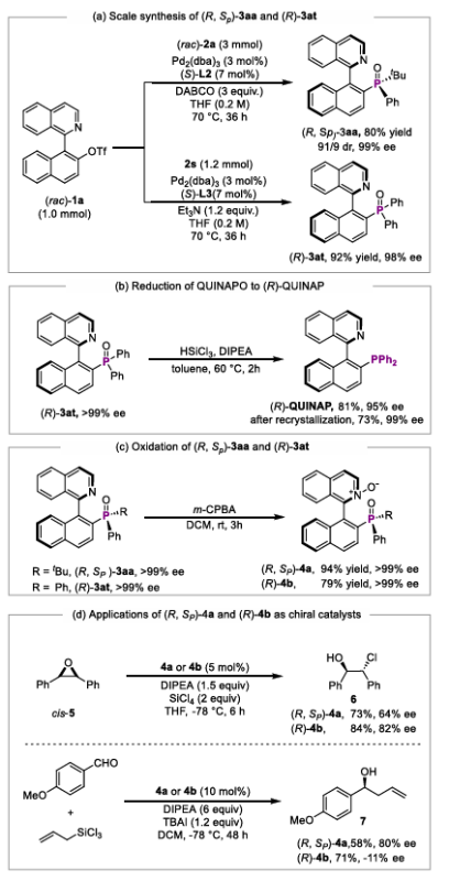 上海交大刘家旺团队通过同步动态动力学不对称转化与动力学拆分的钯催化碳膦偶联反应合成轴膦双手性三级膦氧化合物