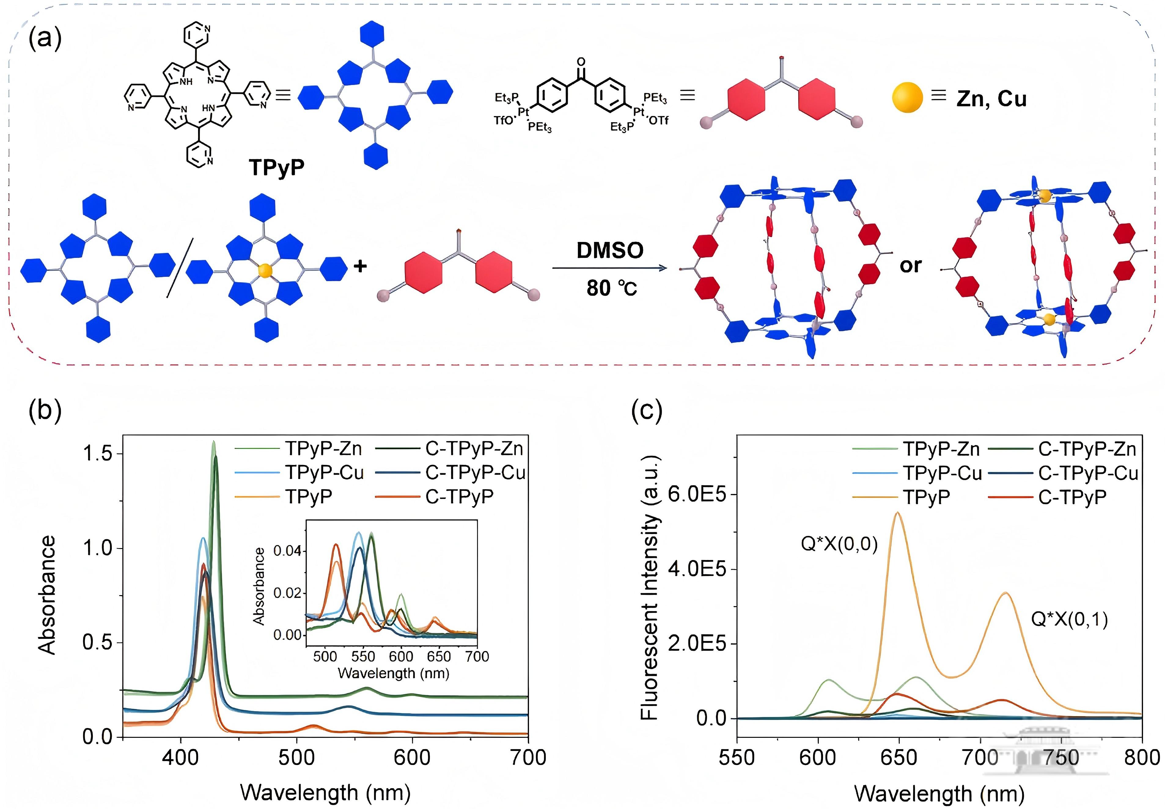 武汉大学郭存兰课题组报道卟啉超分子笼光响应电荷传递新进展