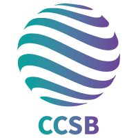 第五届计算机科学与区块链国际学术会议（CCSB 2025）