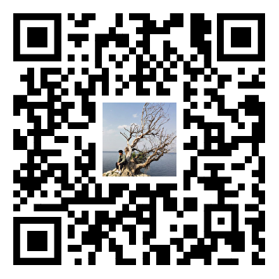 第六届先进材料与智能制造国际学术会议（ICAMIM 2025)
