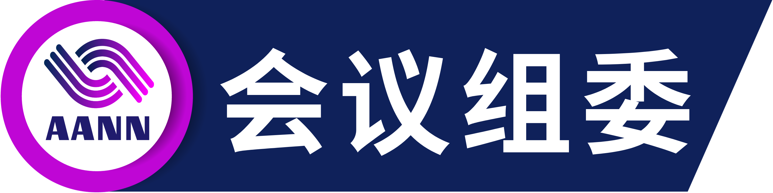 第五届先进算法与神经网络国际学术会议（AANN 2025）