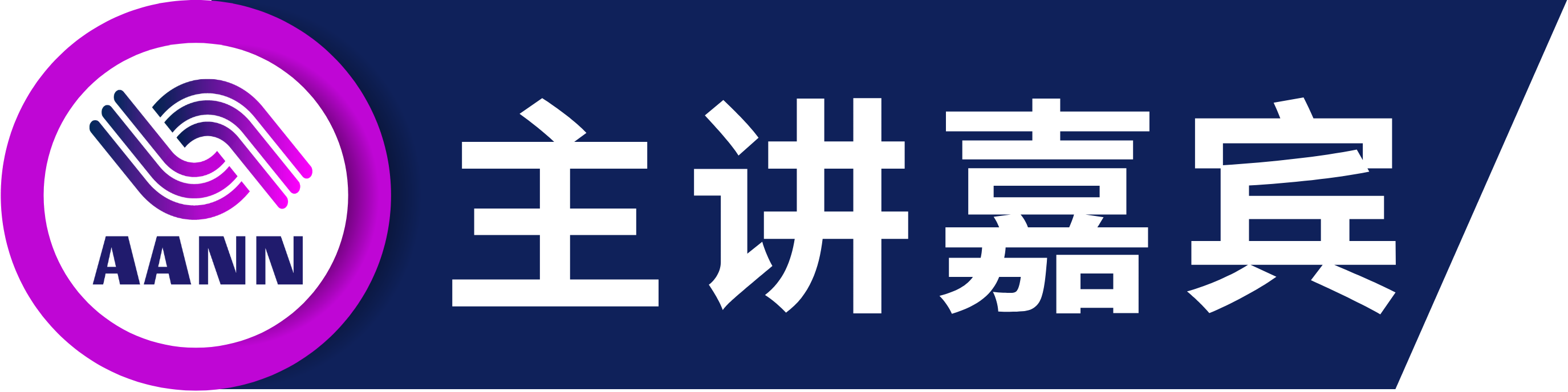 第五届先进算法与神经网络国际学术会议（AANN 2025）