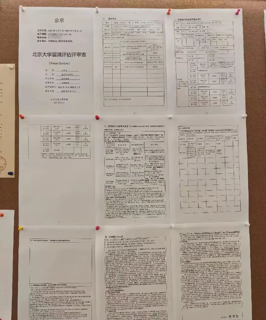 韦东奕晋升北大长聘副教授?校方回应