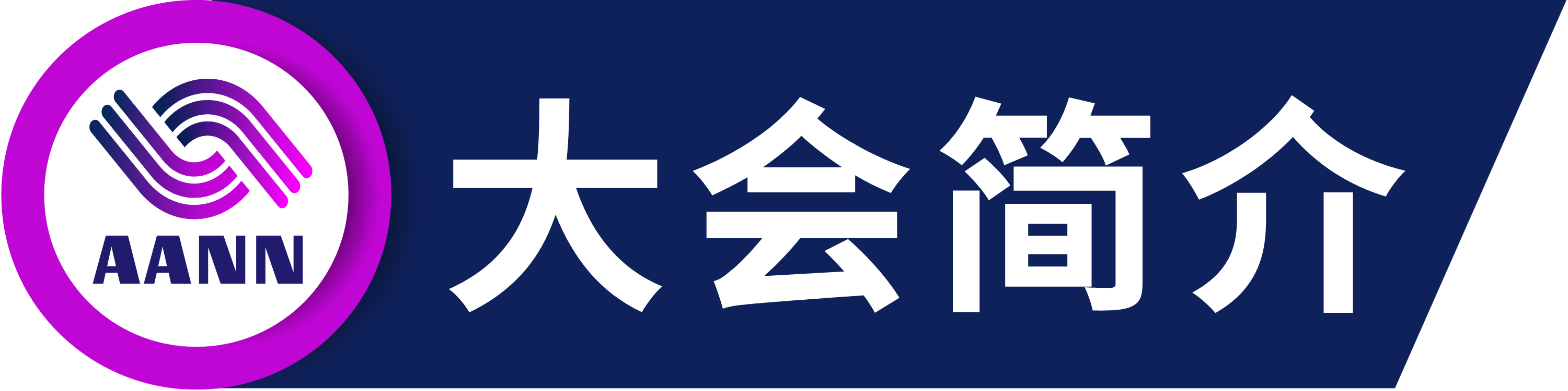 第五届先进算法与神经网络国际学术会议（AANN 2025）