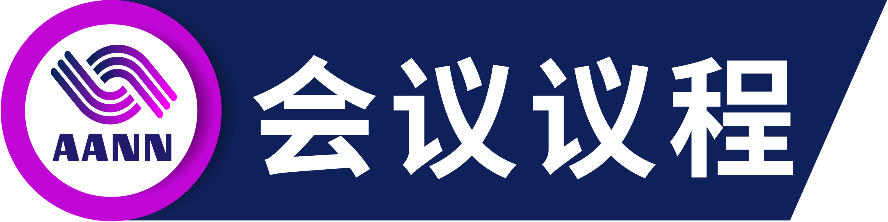 第五届先进算法与神经网络国际学术会议（AANN 2025）