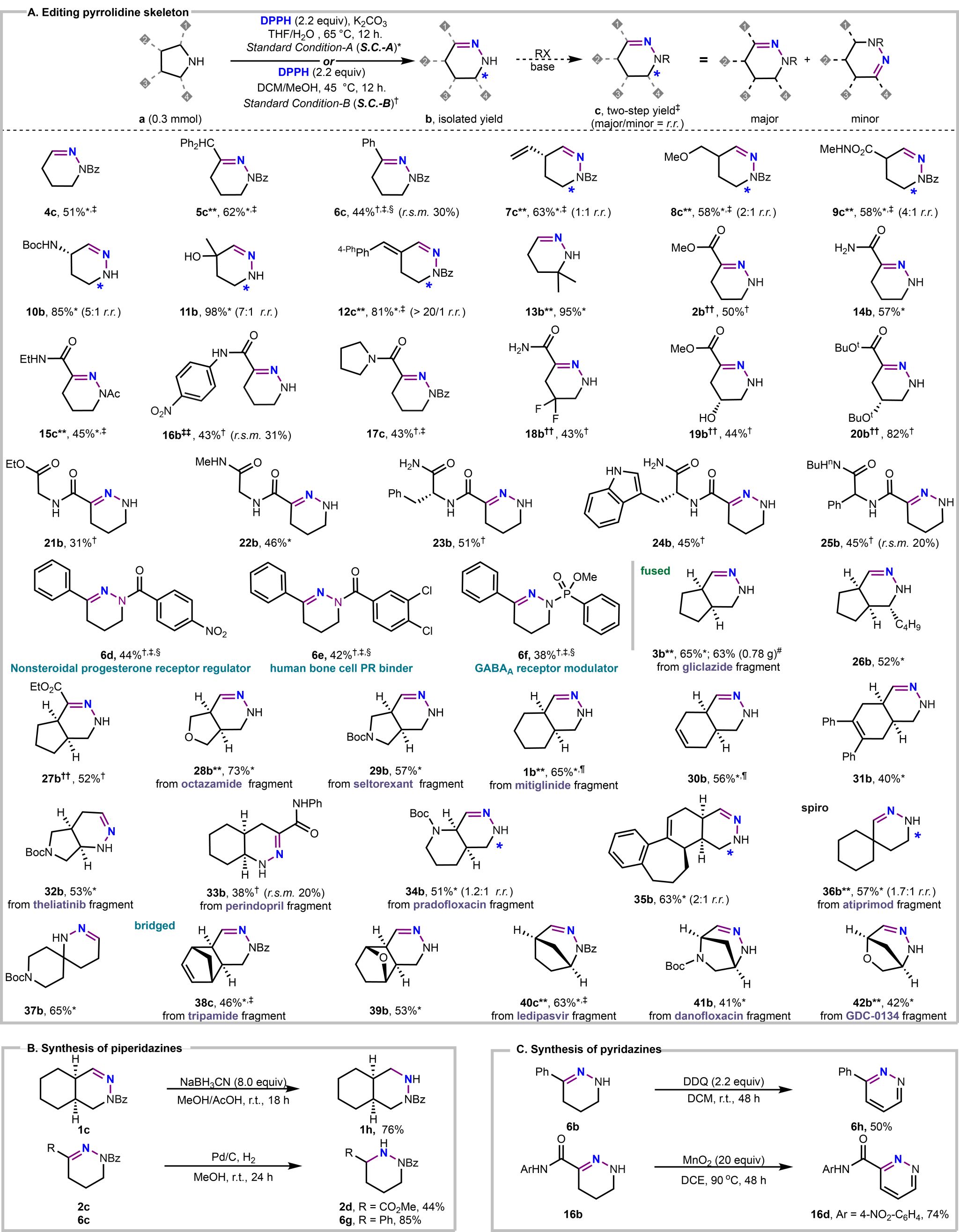 南京大学南京大学陆红健团队《Science》发文：氮原子插入的骨架编辑技术