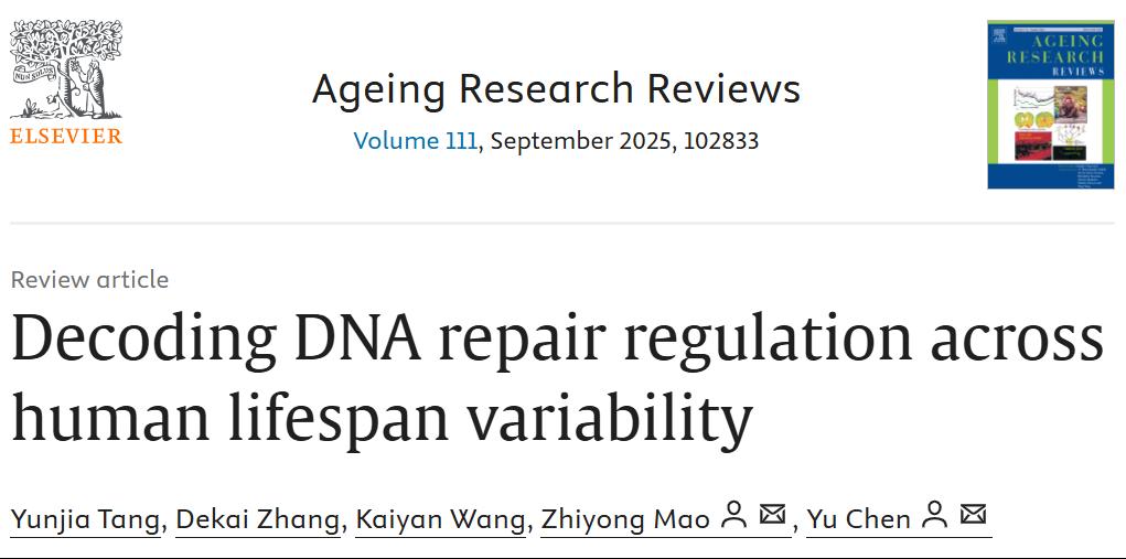 生命科学与技术学院毛志勇/陈御团队综述人类寿命多样性及DNA修复的比较生物学研究进展，成果发表于《衰老研究评论》