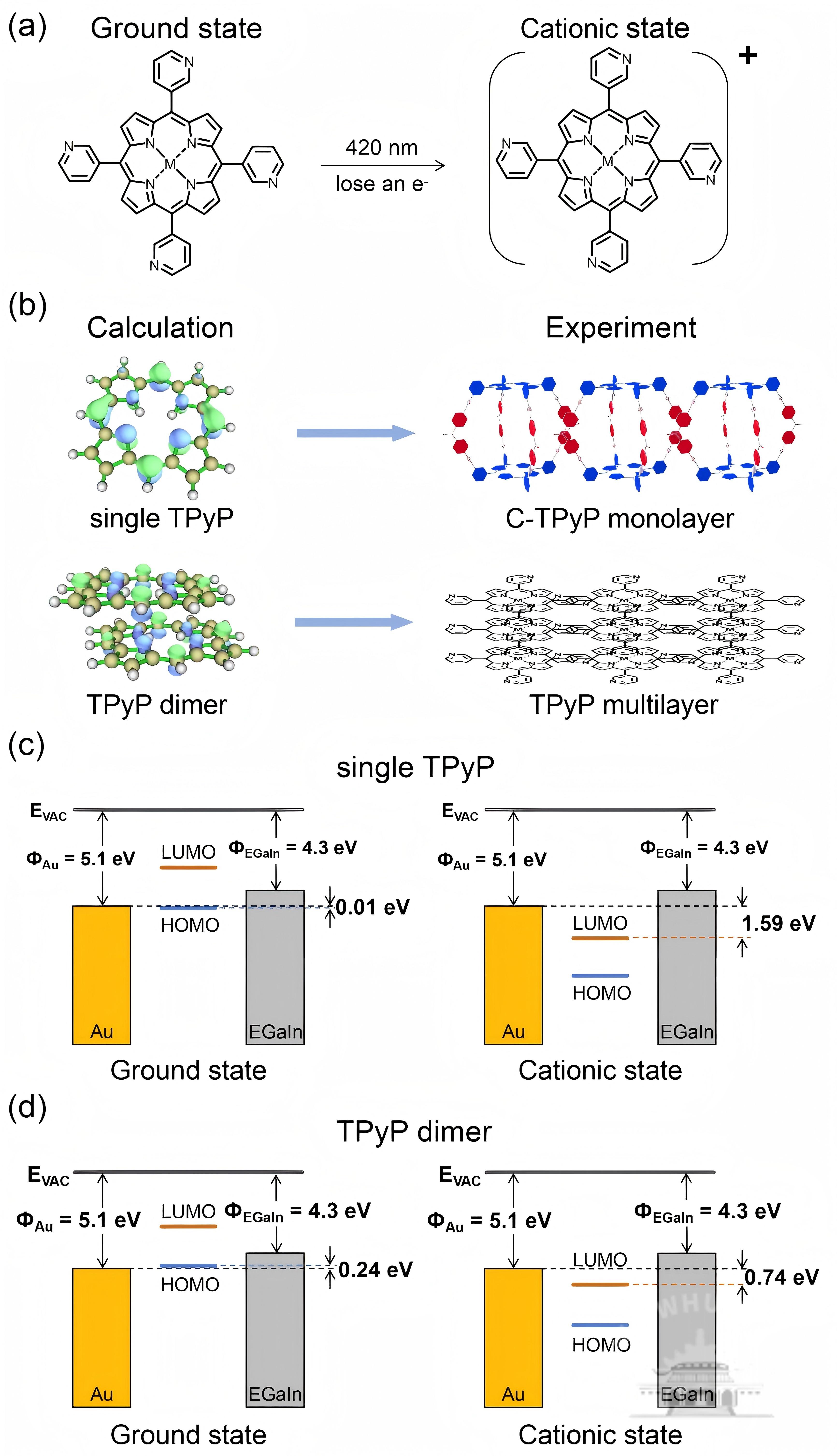 武汉大学郭存兰课题组报道卟啉超分子笼光响应电荷传递新进展