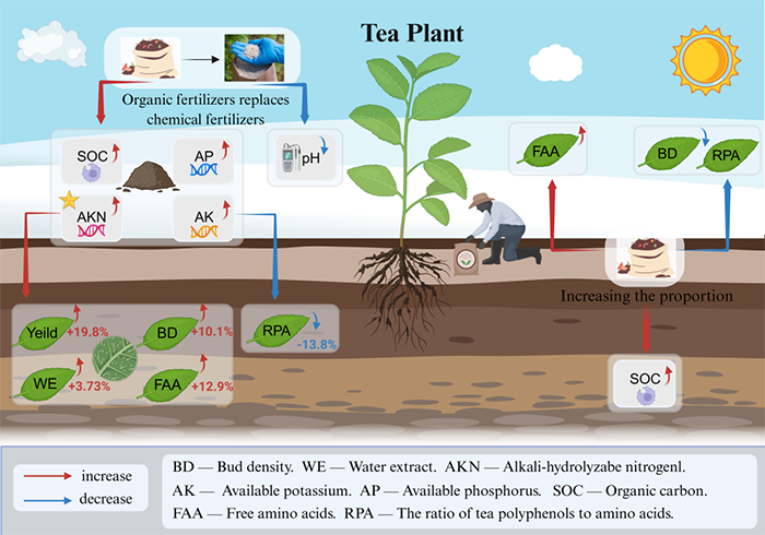 茶树生态低碳栽培显著提升茶园生产效益和生态效益