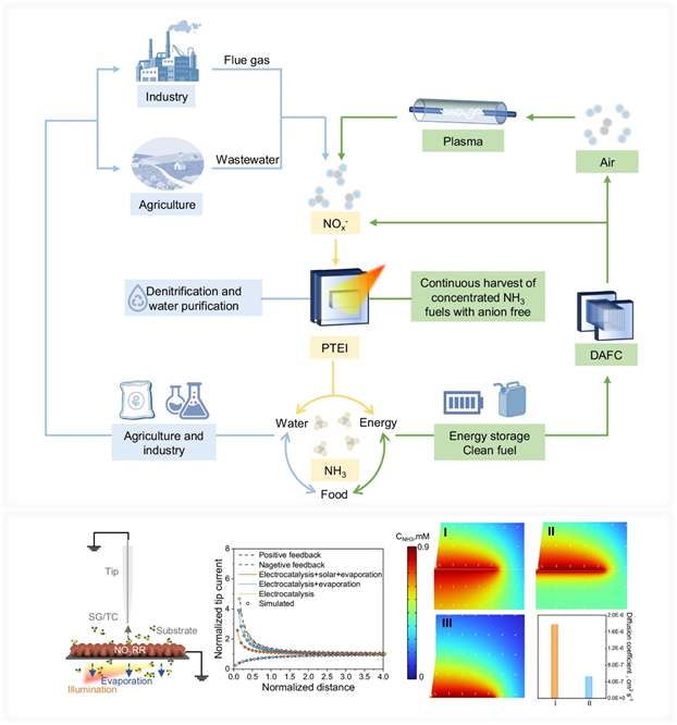 电子科技大学基础院晋兆宇研究员团队在Nature Communications发表多场耦合电化学界面研究新进展