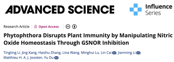 西北农林科技大学园艺学院杜羽教授课题组揭示疫霉菌效应蛋白靶向NO平衡促进寄主感病的新机制