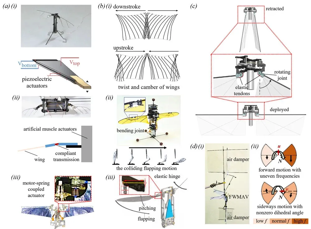 北京航空航天大学北京航空航天大学研究团队在仿生飞机技术领域再突破!