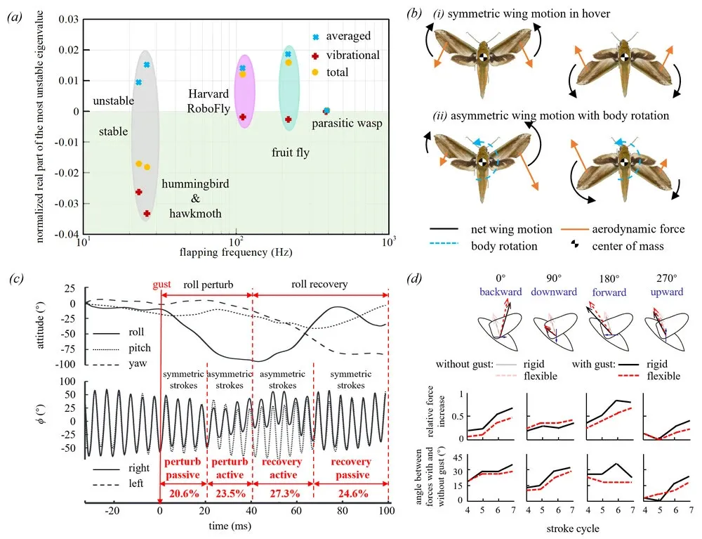 北京航空航天大学北京航空航天大学研究团队在仿生飞机技术领域再突破!