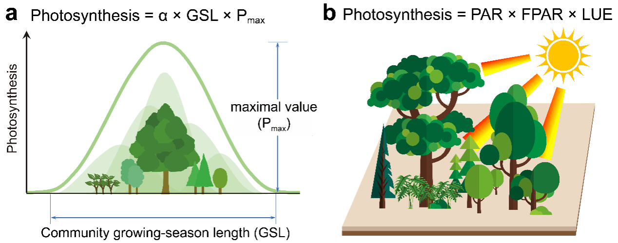 南京大学​国际地球系统科学研究所在全球变化植被光合作用遥感方面取得新进展