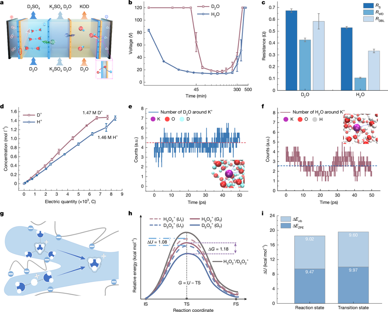 中国科大首次利用双极膜重水解离实现氘代酸碱的低成本制造