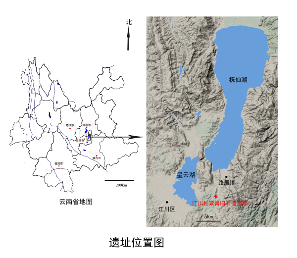 云南甘棠箐遗址出土30万年前木器