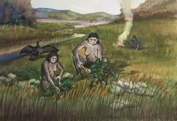 云南甘棠箐遗址出土30万年前木器