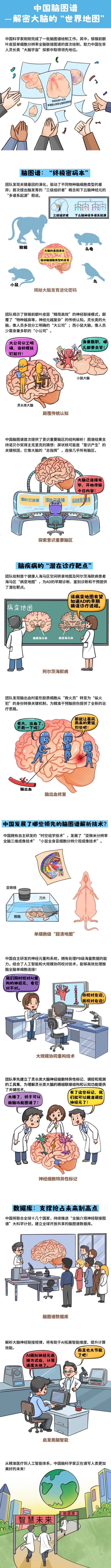 我国科学家联合发布介观脑图谱系列成果 实现从啮齿类到灵长类大脑的跨越