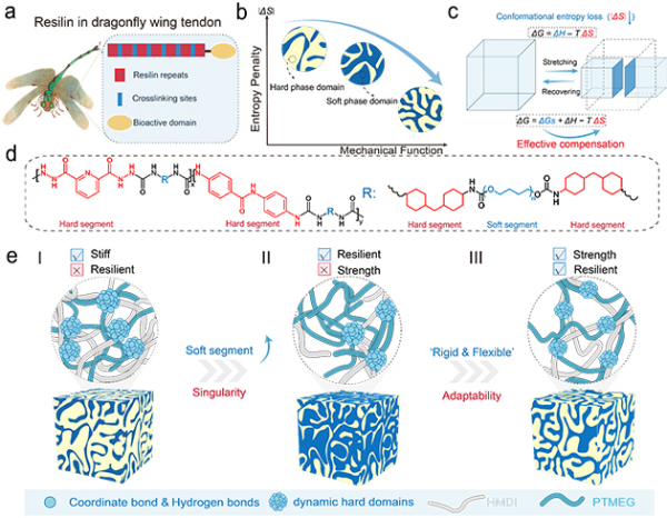 基于低熵罚策略的仿生高弹性聚氨酯研究取得进展
