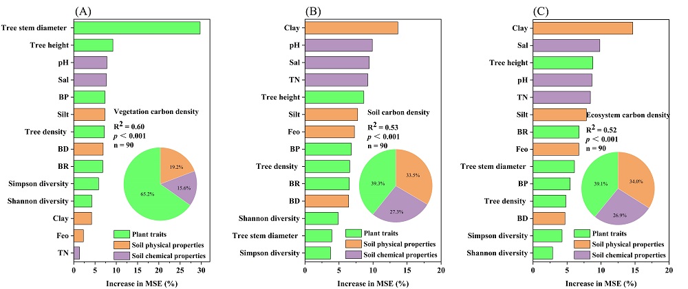 红树林“蓝碳”储存机制研究获进展