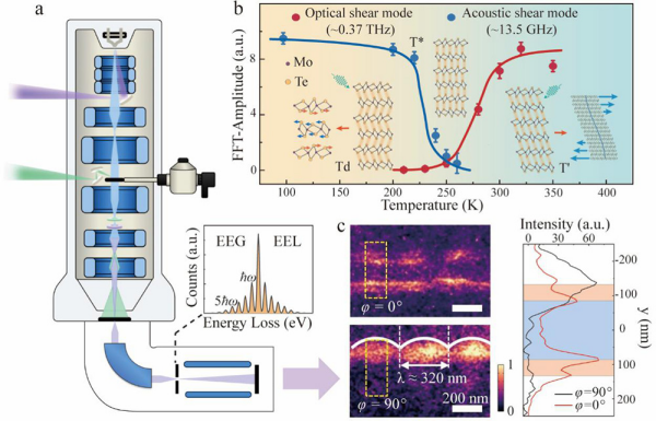 超快电子显微镜助力超快结构动力学及近场研究