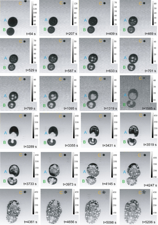 研究实现全氟碳微液滴中软X射线触发纳米级相变的原位观测