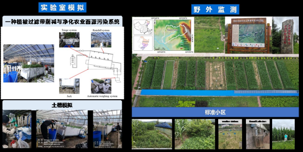 黑土区植被过滤带效率调控机制研究获进展