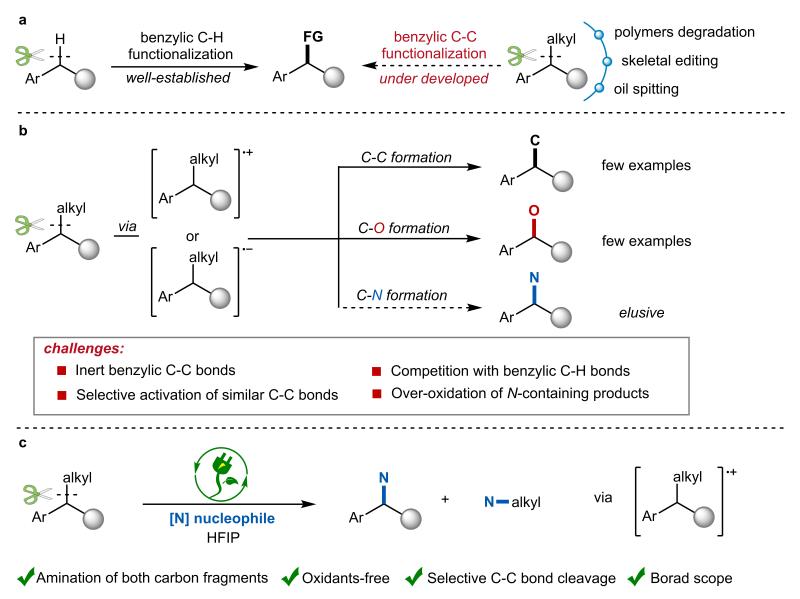 上海交大申涛团队实现芳香烃中苄位C(sp³)-C(sp³)键的电氧化胺化反应