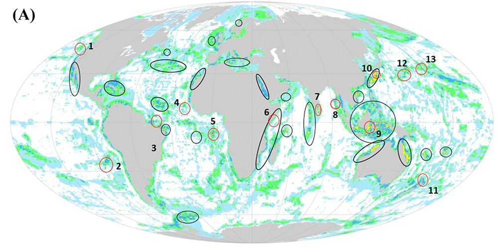 中国海洋大学在全球海洋海洋生物多样性系统性保护研究领域取得新进展