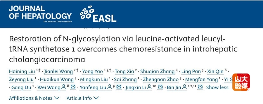 山东大学靳斌教授团队与李景新教授团队合作发现亮氨酸增敏肝内胆管癌化疗疗效的作用与机制