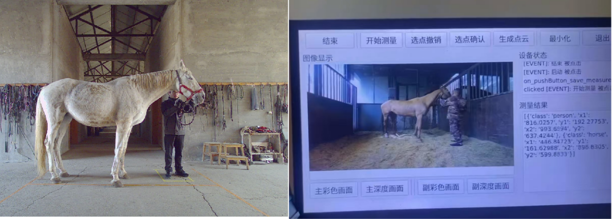 中国农业大学｜动科学院王勤教授团队研发马匹体尺便携式自动测量系统 效率提升3至7倍