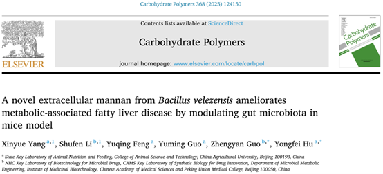中国农业大学动科学院胡永飞教授团队合作揭示贝莱斯芽孢杆菌新型胞外甘露聚糖调控宿主脂质代谢