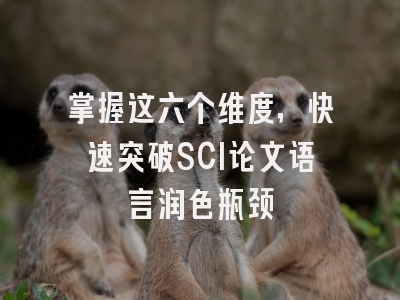 掌握这六个维度，快速突破SCI论文语言润色瓶颈