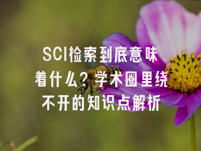 SCI检索到底意味着什么？学术圈里绕不开的知识点解析