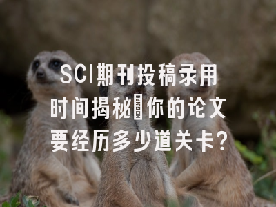 SCI期刊投稿录用时间揭秘：你的论文要经历多少道关卡？