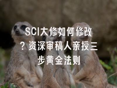 SCI大修如何修改？资深审稿人亲授三步黄金法则