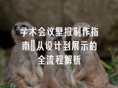 学术会议壁报制作指南：从设计到展示的全流程解析