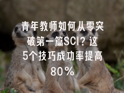 青年教师如何从零突破第一篇SCI？这5个技巧成功率提高80%