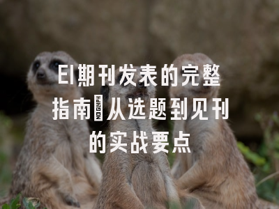 EI期刊发表的完整指南：从选题到见刊的实战要点