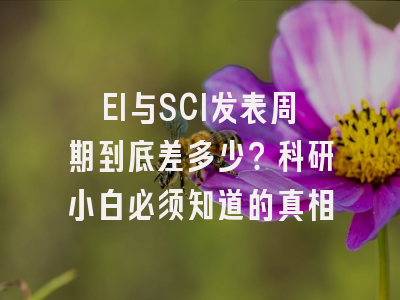 EI与SCI发表周期到底差多少？科研小白必须知道的真相
