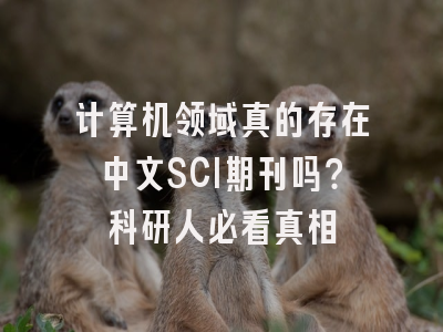 计算机领域真的存在中文SCI期刊吗？科研人必看真相