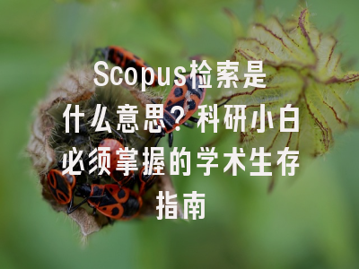 Scopus检索是什么意思？科研小白必须掌握的学术生存指南
