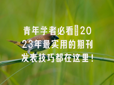 青年学者必看：2023年最实用的期刊发表技巧都在这里！