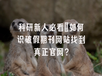 科研新人必看：如何识破假期刊网站找到真正官网？