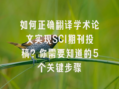 如何正确翻译学术论文实现SCI期刊投稿？你需要知道的5个关键步骤