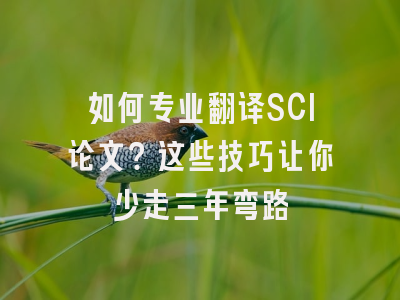 如何专业翻译SCI论文？这些技巧让你少走三年弯路