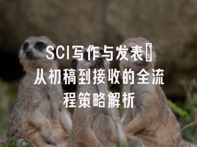 SCI写作与发表：从初稿到接收的全流程策略解析