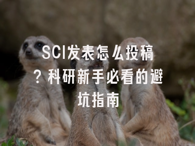 SCI发表怎么投稿？科研新手必看的避坑指南